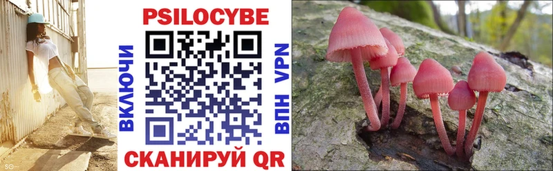 Галлюциногенные грибы Psilocybine cubensis  где продают   Сельцо 